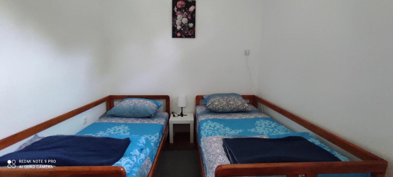 Apartmani Banatski Konak 兹雷尼亚宁 外观 照片