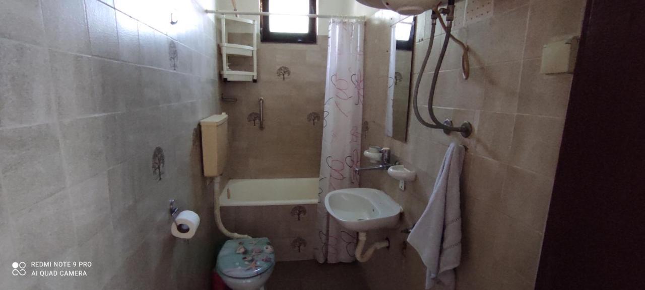 Apartmani Banatski Konak 兹雷尼亚宁 外观 照片